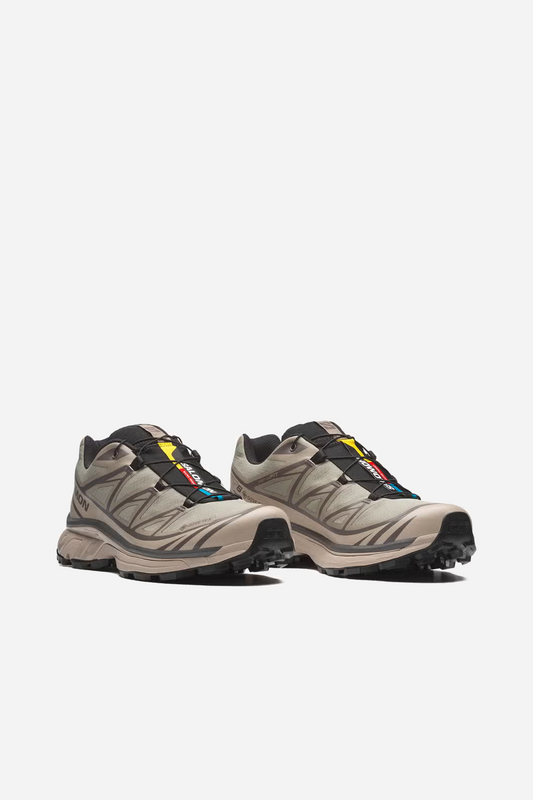 XT-6 GTX White Pepper/Silver Sage/Dark G